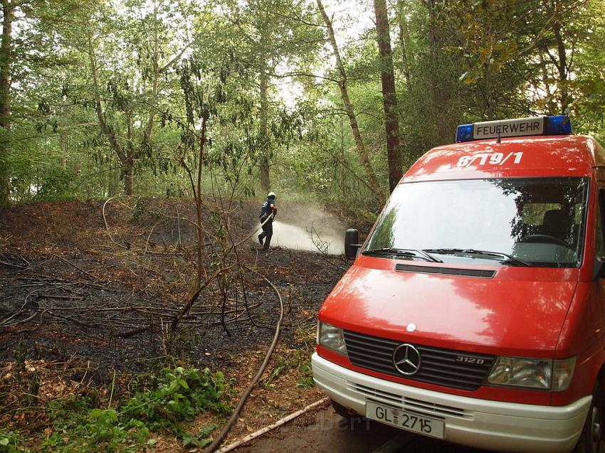 Waldbrand Bergisch Gladbach Bensberg P064.JPG